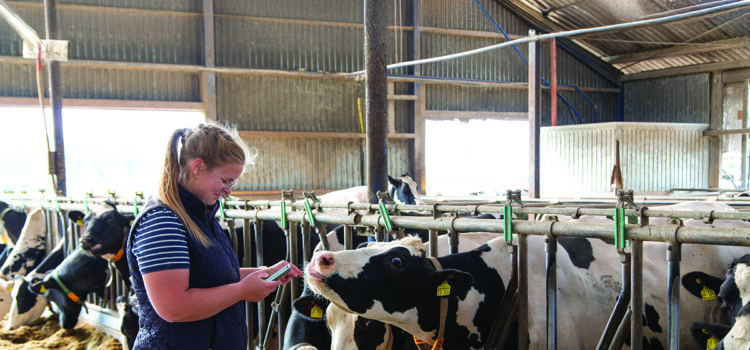 Health system helps tackle labour shortage