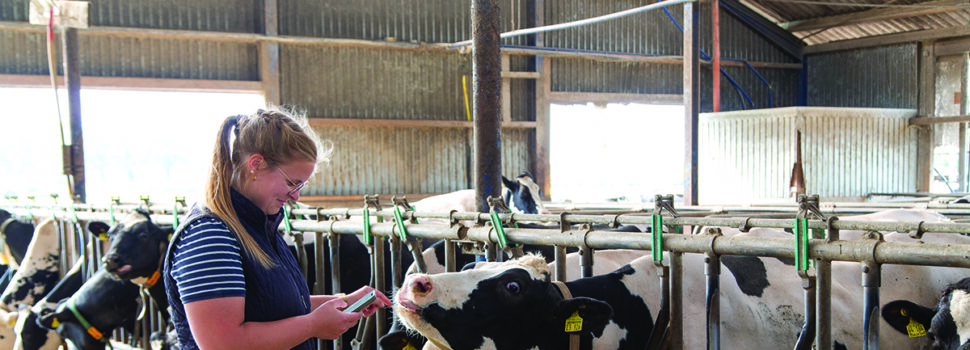 Health system helps tackle labour shortage