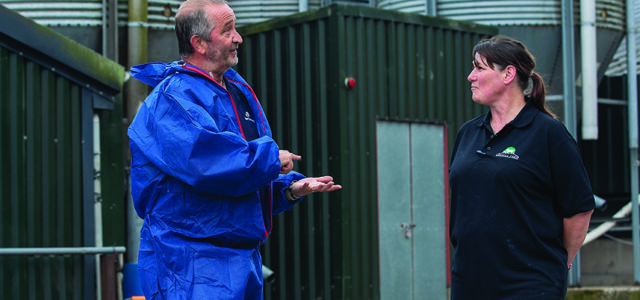 Rise in swine dysentery cases prompts biosecurity warning