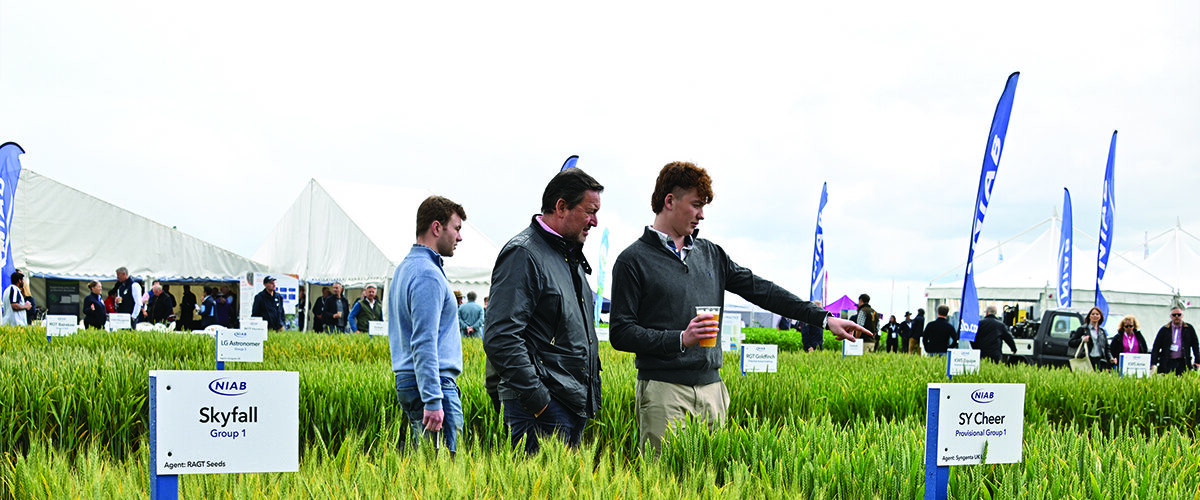 ‘New era’ for crop science as gene-editing law takes effect