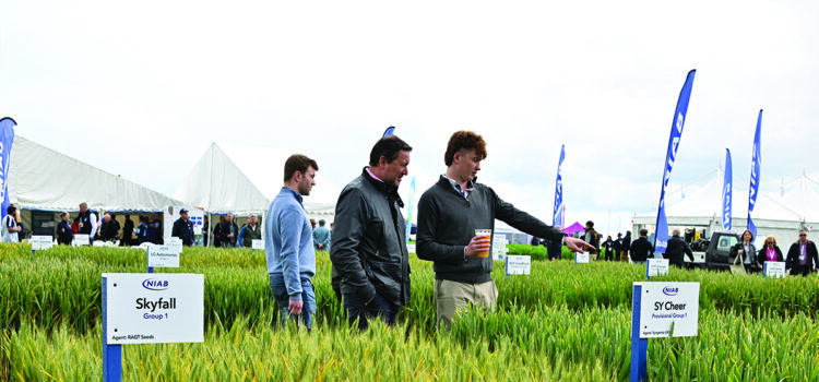 ‘New era’ for crop science as gene-editing law takes effect