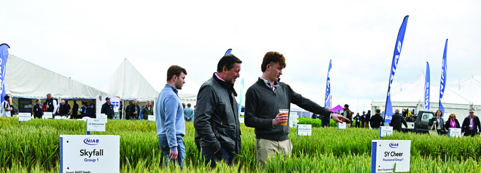 ‘New era’ for crop science as gene-editing law takes effect