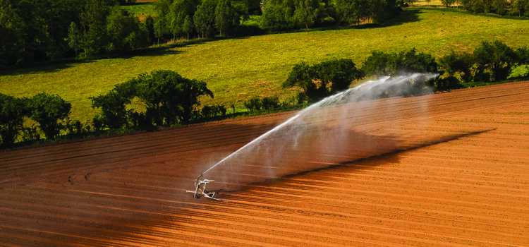 Revenue and resilience from climate change