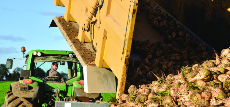 ‘Stay safe’ reminder when carting root crops