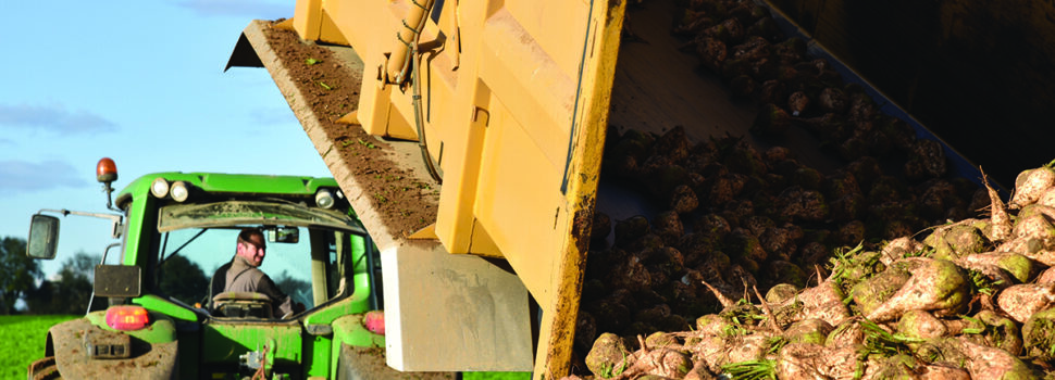 ‘Stay safe’ reminder when carting root crops