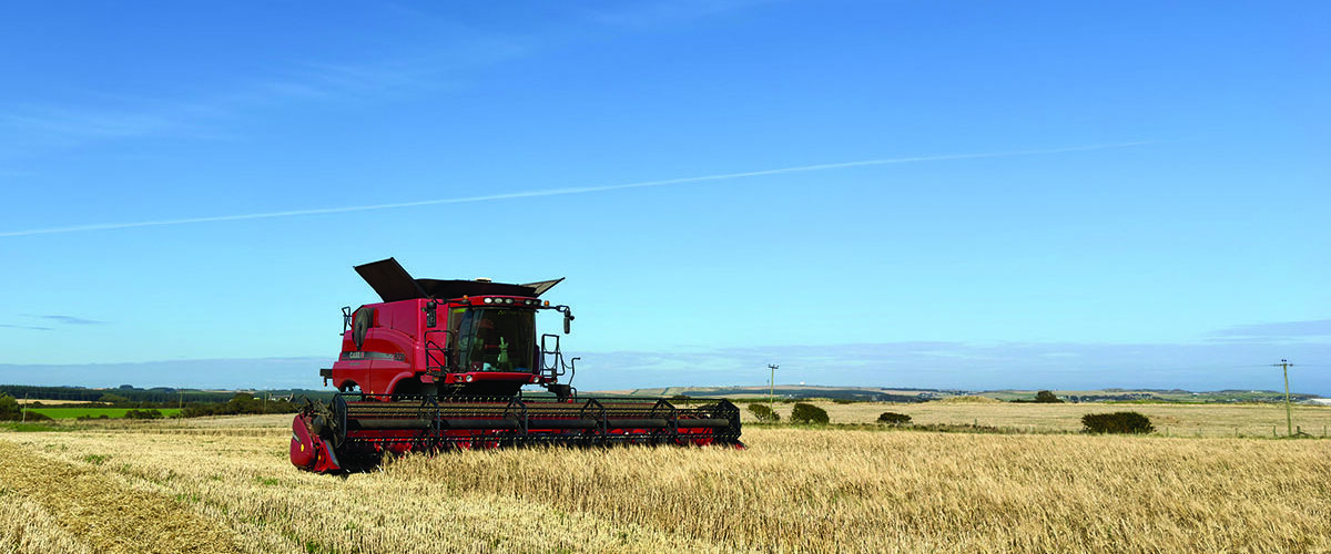 Two-row spring malting barley for brewers and distillers