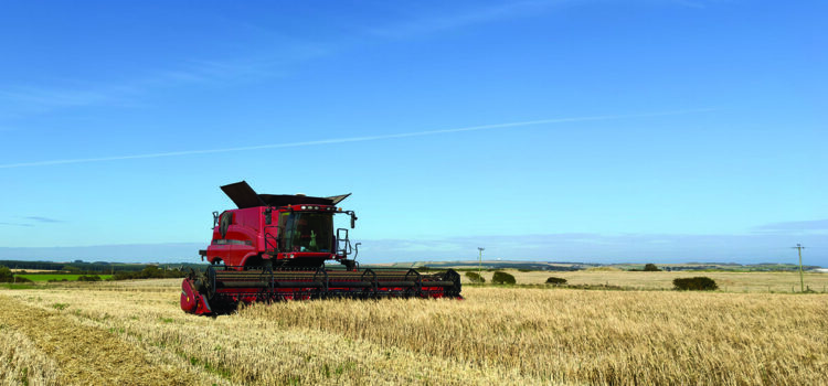 Two-row spring malting barley for brewers and distillers