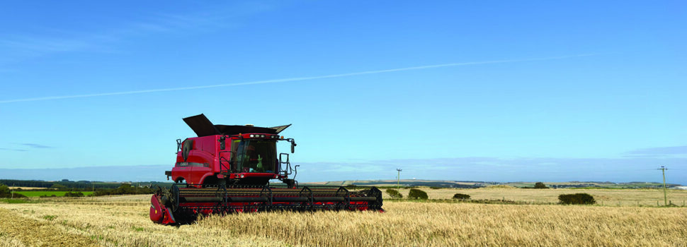 Two-row spring malting barley for brewers and distillers
