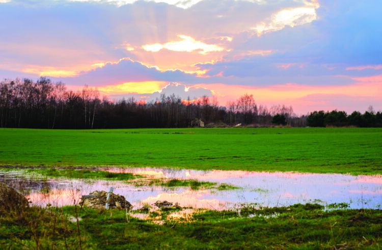 Make sure you’re prepared for the year ahead