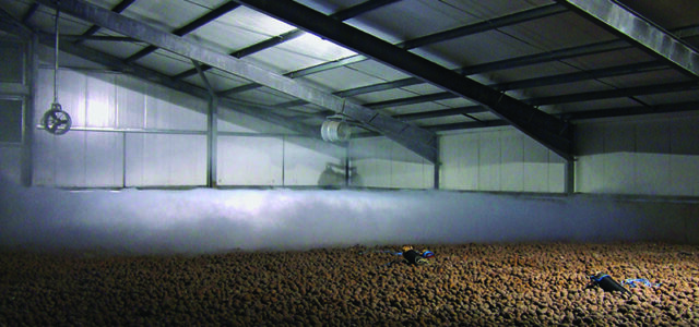 Potato Storage Train Support needed to secure potato storage capacity – Anglia Farmer Magazine