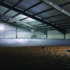 Support needed to secure potato storage capacity
