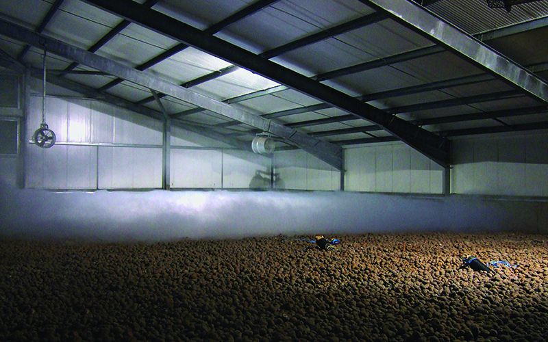 Support needed to secure potato storage capacity