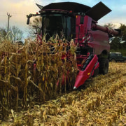 Plan early to get most out of maize