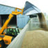 Plan grain marketing now for the year ahead