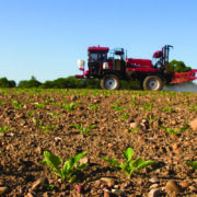 New futures option for sugar beet growers