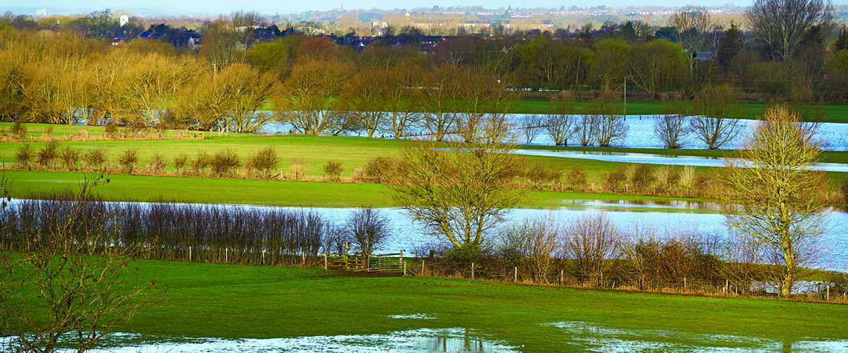 Wet winter eases drought concerns