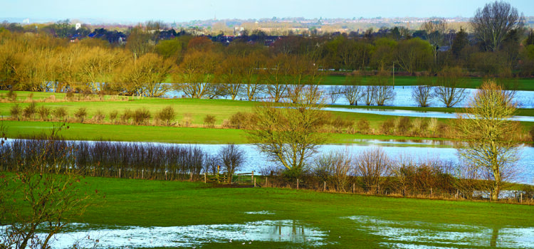 Wet winter eases drought concerns