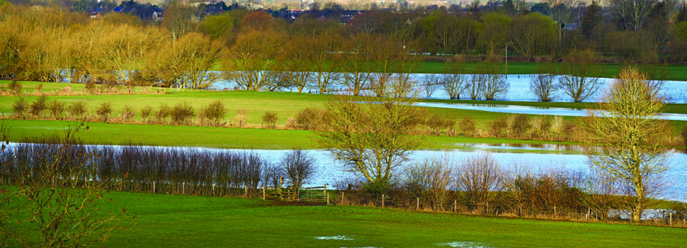 Wet winter eases drought concerns