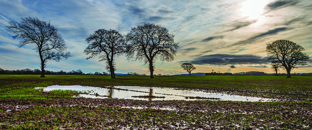 Take action to restore saturated soils