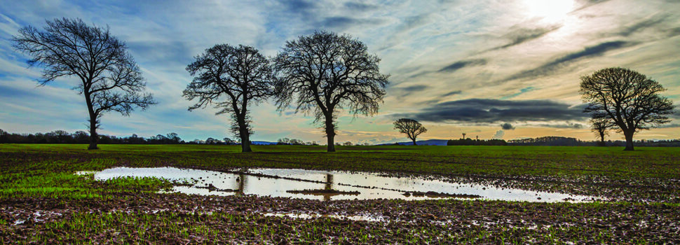 Take action to restore saturated soils