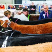 Beef Expo to focus on food security