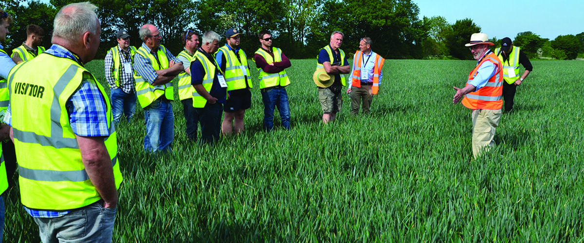 Visitors invited to see crop establishment systems