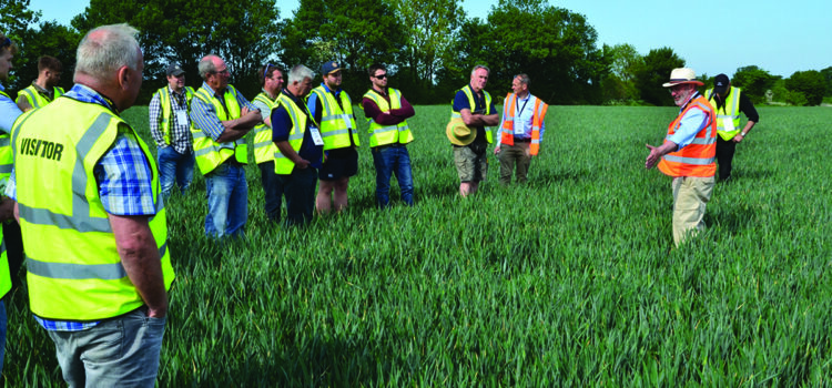 Visitors invited to see crop establishment systems