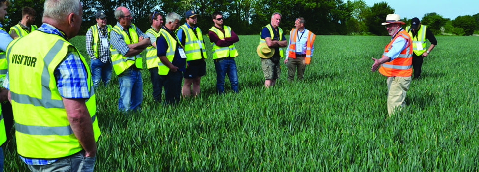Visitors invited to see crop establishment systems