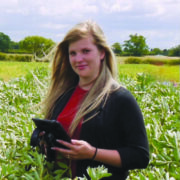 Green pea promises yield and disease resistance for growers