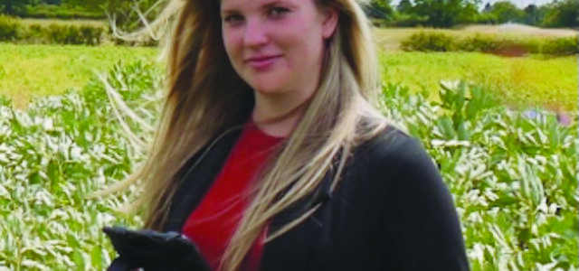 Green pea promises yield and disease resistance for growers