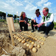 Growers reassess ventilation as storage demands rise