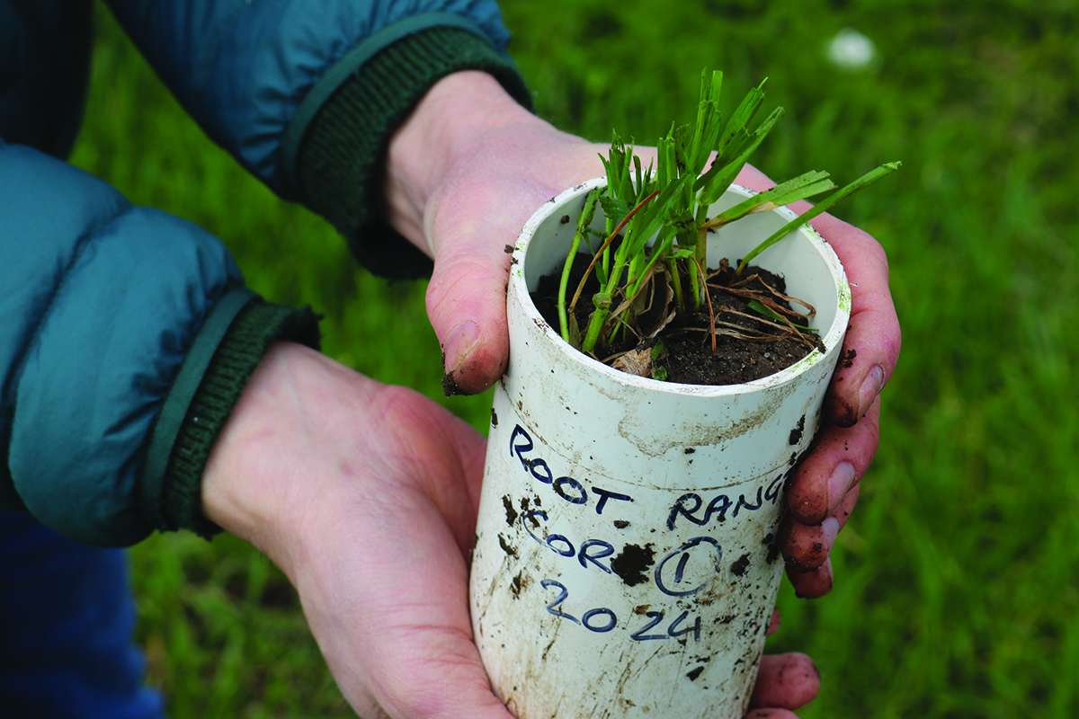 ‘Inspiration Day’ for innovative growers on Hertfordshire farm