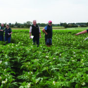 Farm innovation fund opens to support on-farm trials