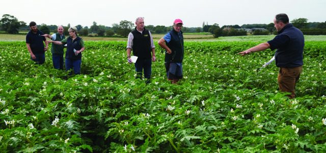 Farm innovation fund opens to support on-farm trials
