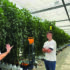 Agri-food apprenticeships launched for school leavers