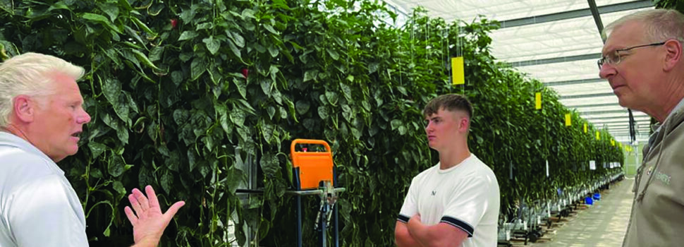 Agri-food apprenticeships launched for school leavers