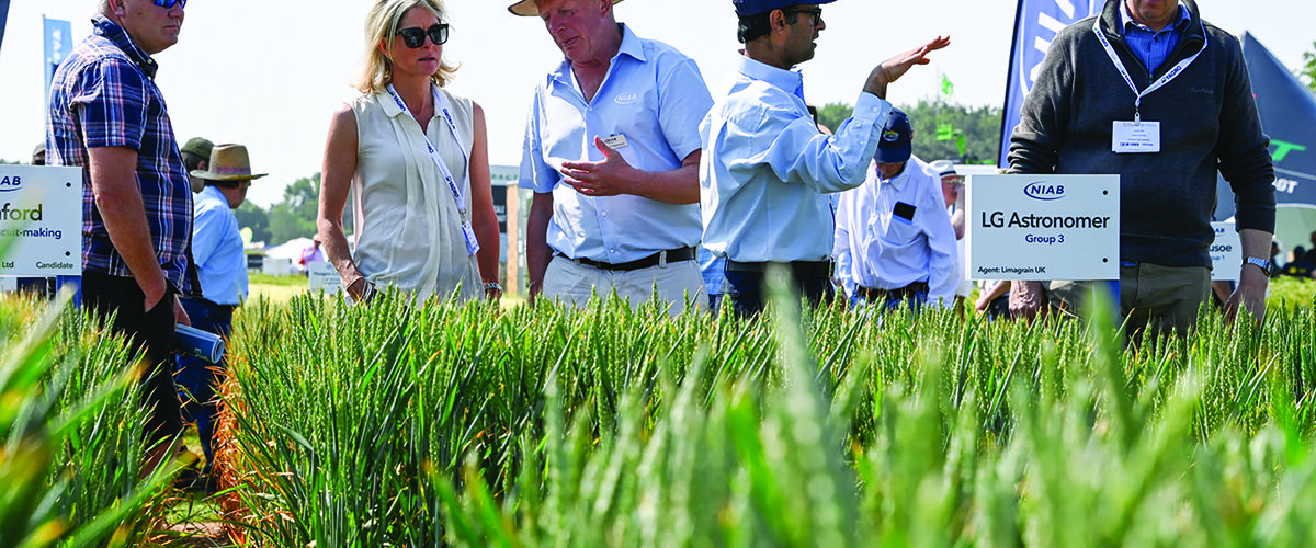 Agronomy Zone showcases range of practical solutions at Cereals