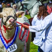 Show season highlights best of food and farming