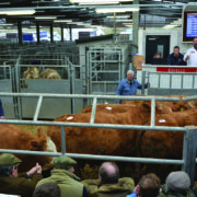 Mart throughput rises as turnover tops £3bn