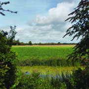 Farmland market holds steady despite caution