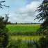 Farmland market holds steady despite caution