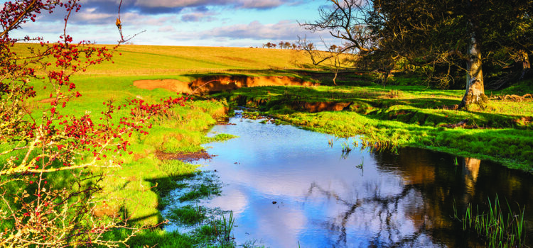 Entries now open for water quality award