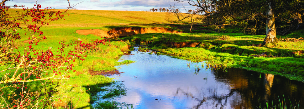 Entries now open for water quality award
