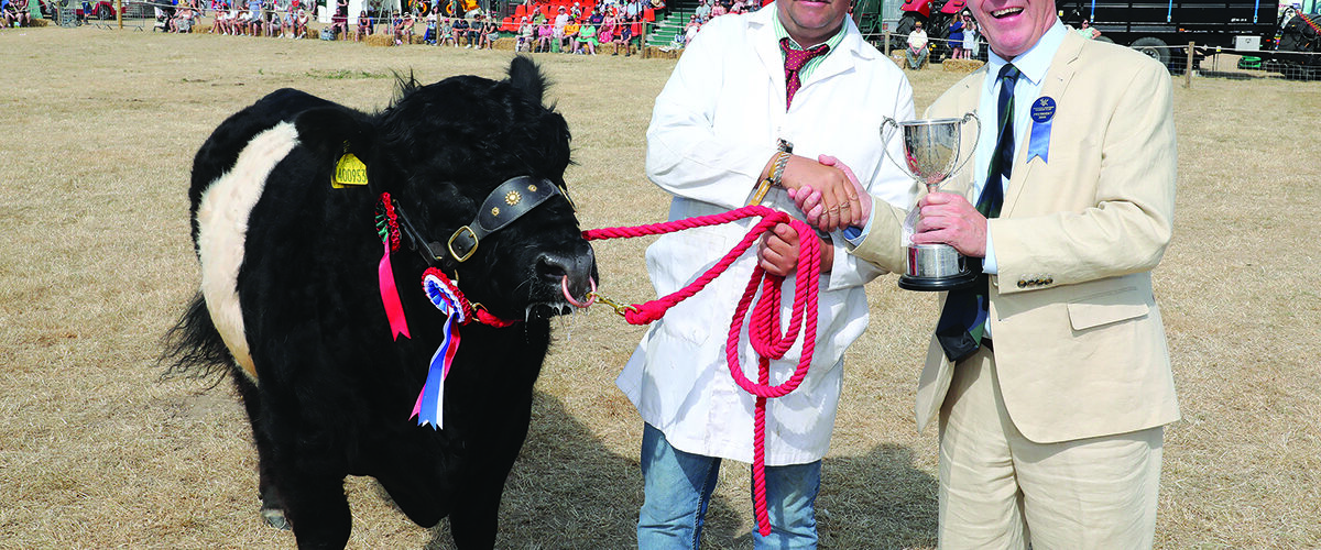 Tendring Show targets stronger ties with local communities