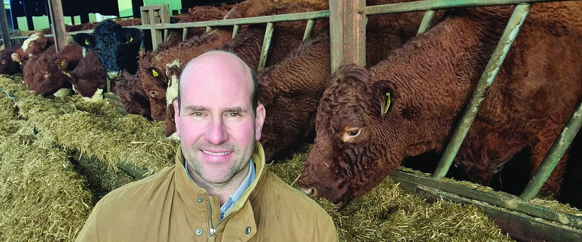 Farmer cuts feed bill with home-grown grain
