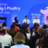Pressure and profitability for pig and poultry producers