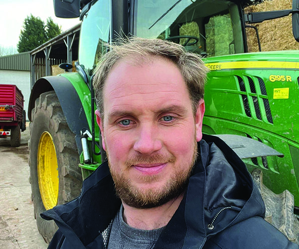 Wheat varieties promise more resilient yields