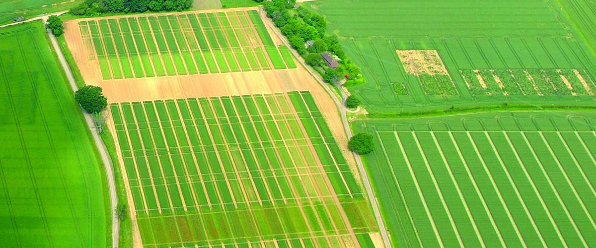 Organo-mineral fertiliser ‘lifts barley yields’