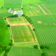 Organo-mineral fertiliser ‘lifts barley yields’