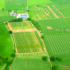 Organo-mineral fertiliser ‘lifts barley yields’